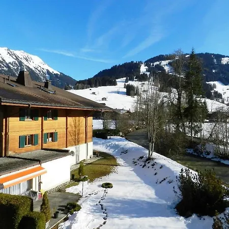 La Sarine 212 By Interhome * Gstaad